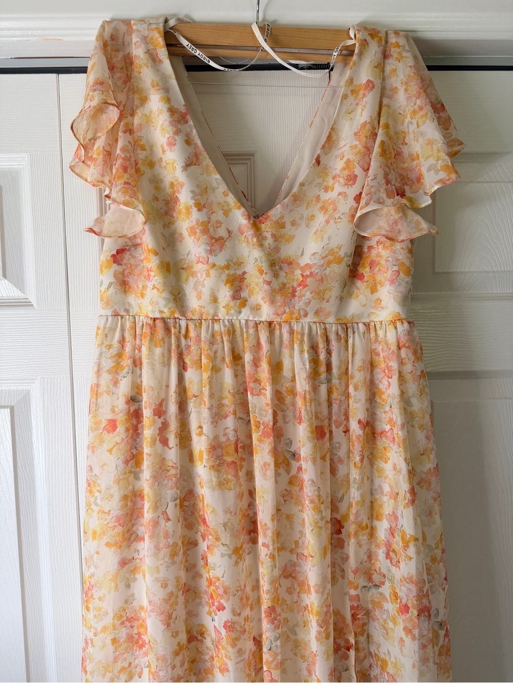 Birdy Grey Hannah Chiffon Dress